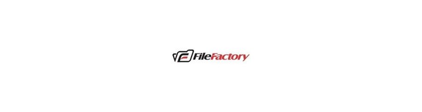FileFactory Premium Account – Unlimited Downloads & Instant Delivery
