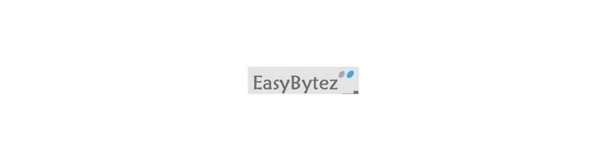 Buy EasyBytez Premium Account – Unlimited Fast Downloads | Instant Delivery