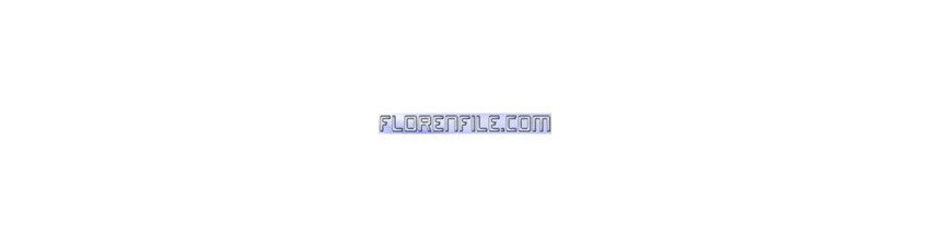 Buy Florenfile.com Premium Account – Multiple Plans | Instant Delivery